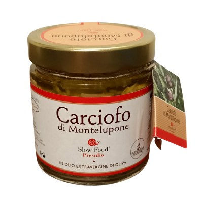 Carciofo di Montelupone Presidio Slow Food