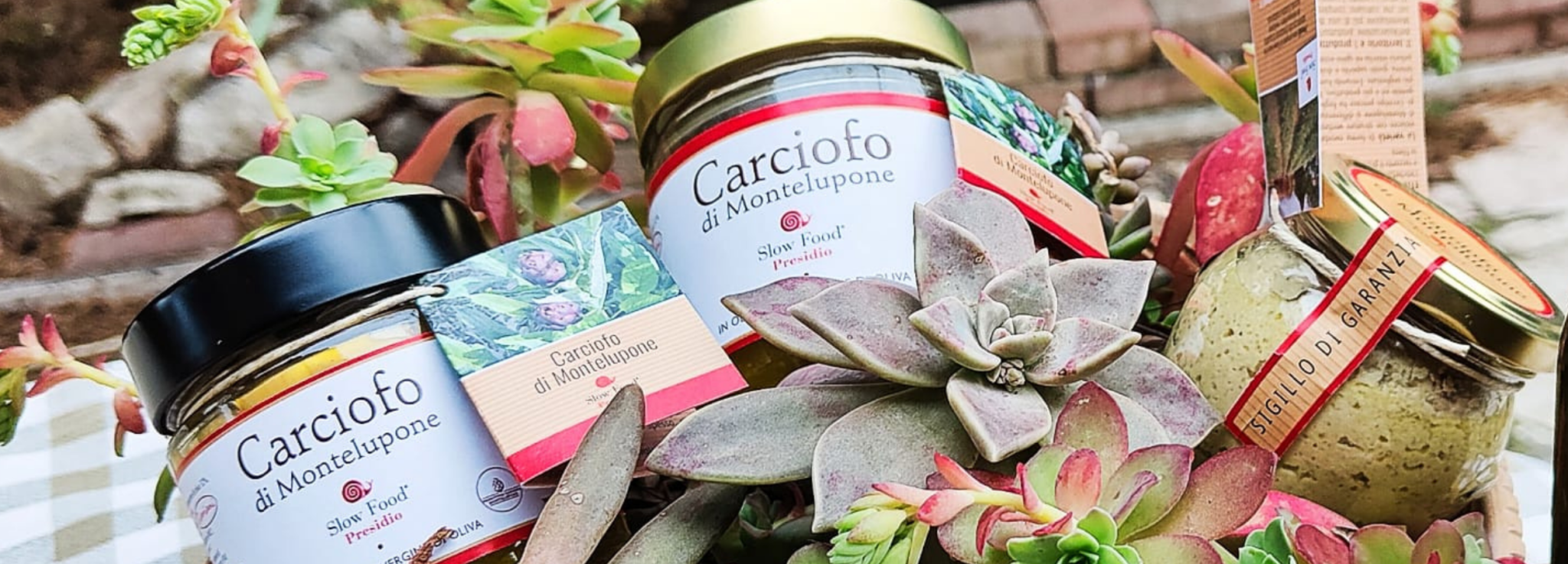 Carciofi di Montelupone Presidio Slow Food e Olio Biologico Cipriani